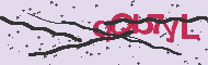 Captcha認証コード