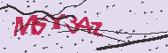 Captcha認証コード